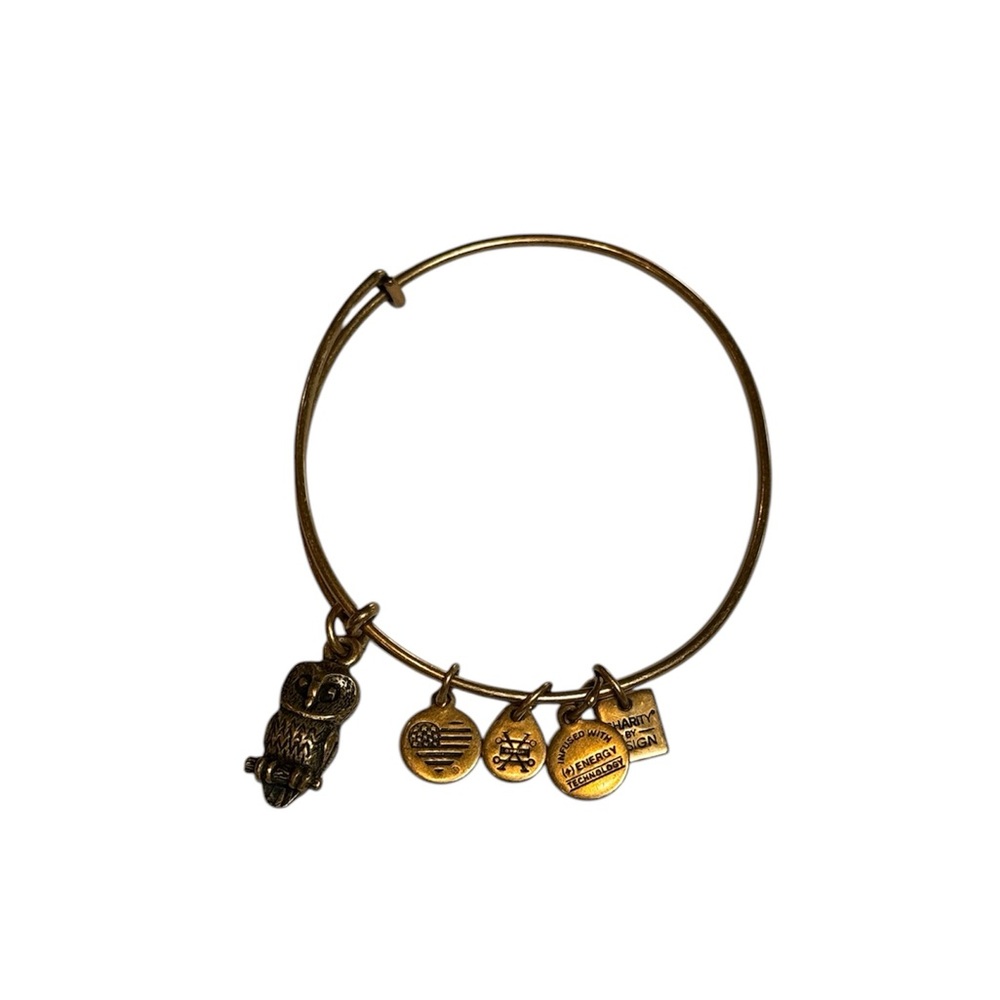 ALEX and ANI Ode to the Owl Bangle Charm Bracelet Gold Color